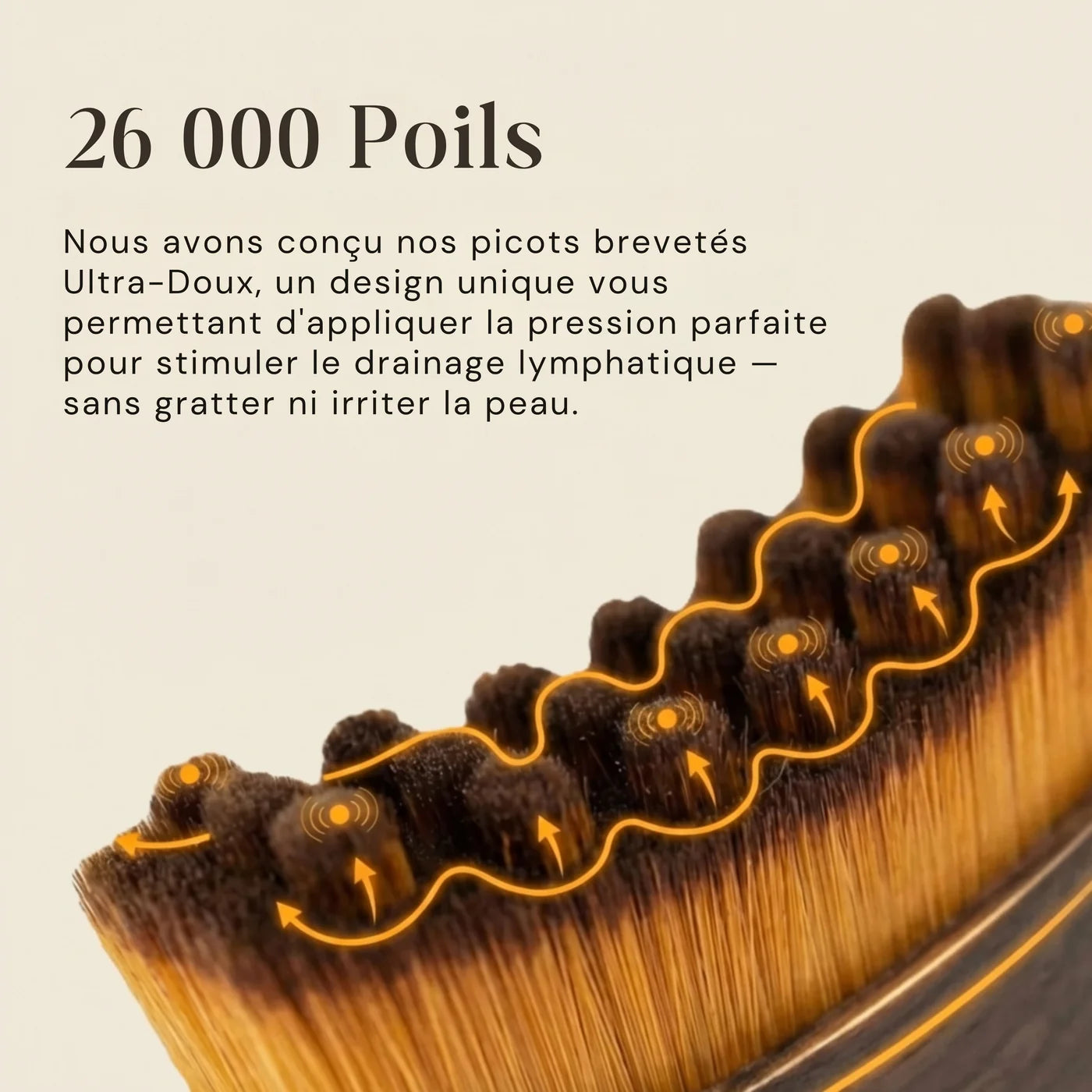Lÿma brosse  massage Lymphatique