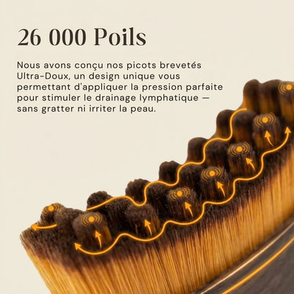Lÿma brosse  massage Lymphatique